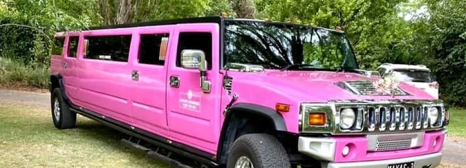Mayas Hummer Cover Image