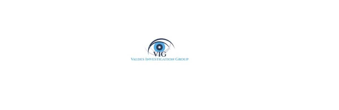 Valdes Investigation Group Cover Image