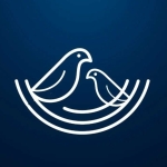 nestsoftware profile picture