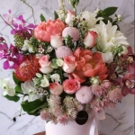 Dandelion Florist Profile Picture