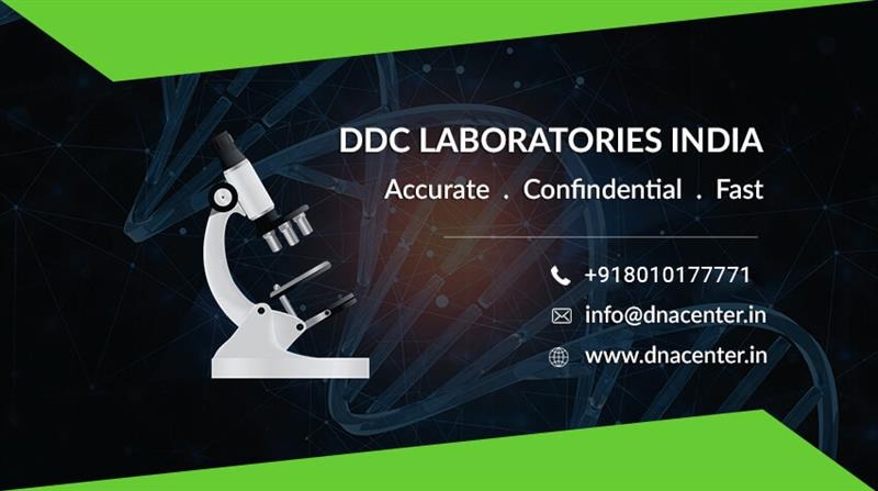 Finding Credible Evidence of Family Links in Vadodara with DNA Testing Procedures | daddycow.com