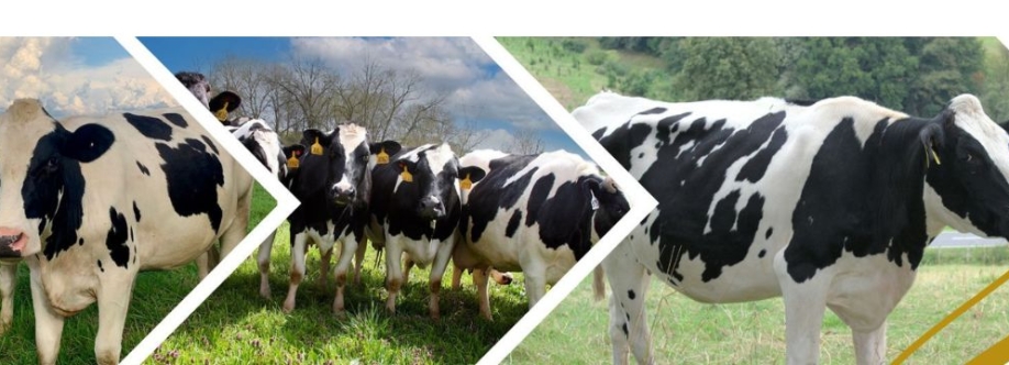 First Bell Agro Cover Image